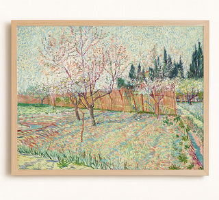 Orchard With Cypresses