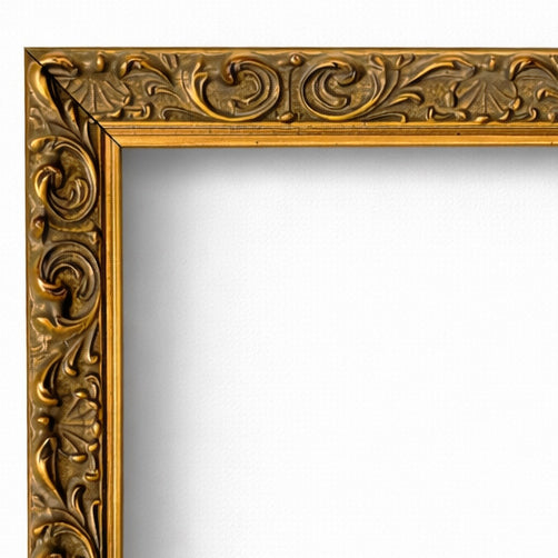 Ornate Gold Frame