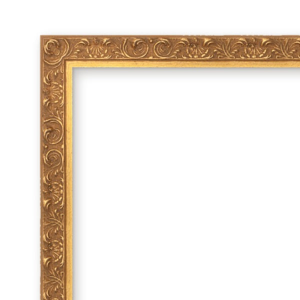 Ornate Gold Frame