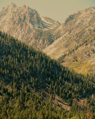 Over the Pass