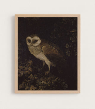 OWL - Museum Quality Art