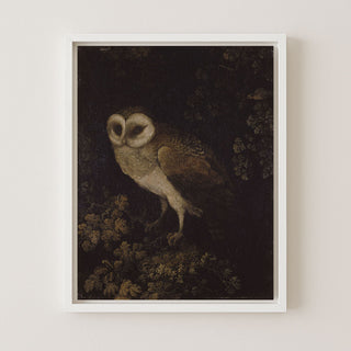 OWL - Museum Quality Art