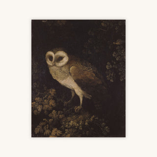 OWL — Primary Image