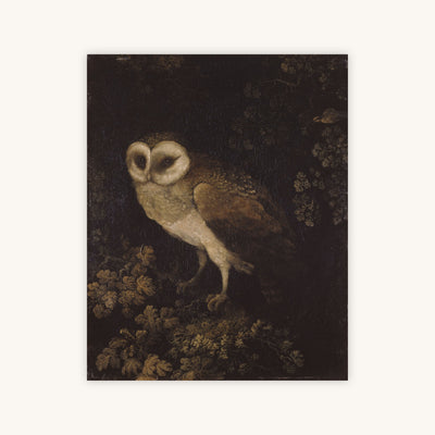 OWL — Primary Image