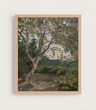 PAINTED TREE STUDY - Museum Quality Art