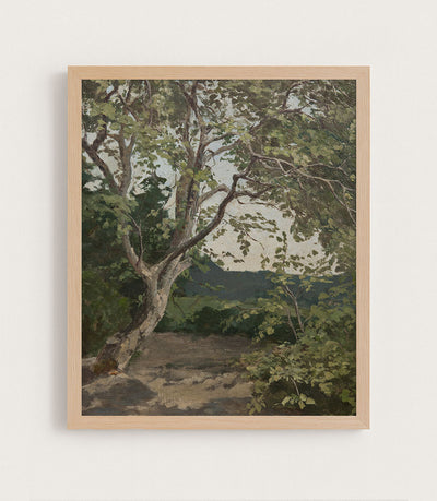 PAINTED TREE STUDY - Museum Quality Art