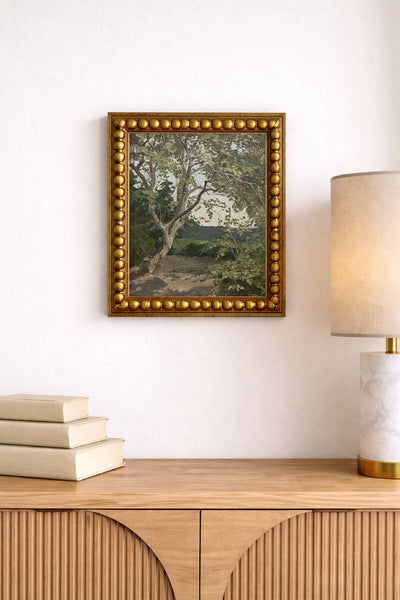 Painted Tree Study