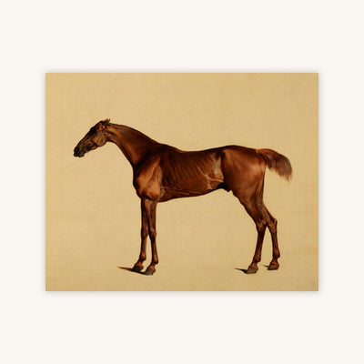 PANGLOSS — Primary Image