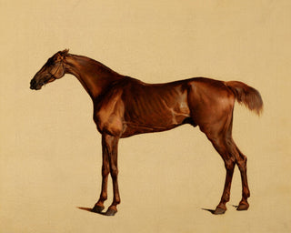 Pangloss