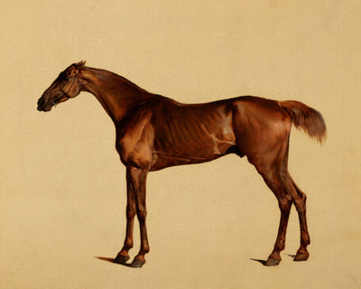 Pangloss