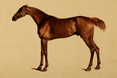 Pangloss