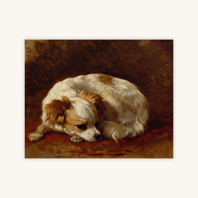 PAPILLON — Primary Image