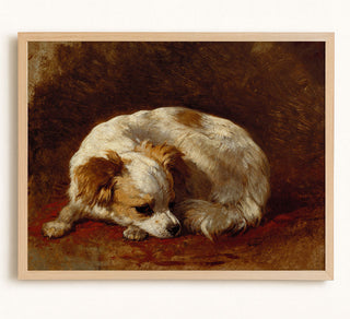 Papillon