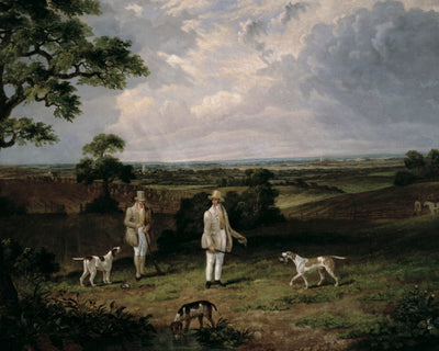 Partridge Shooting