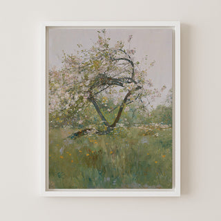 Peach Blossom