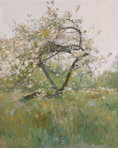 Peach Blossom