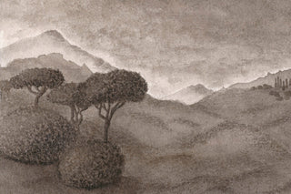 Peaks and Valleys