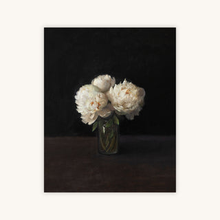PEONIES, DARK BACKGROUND — Primary Image
