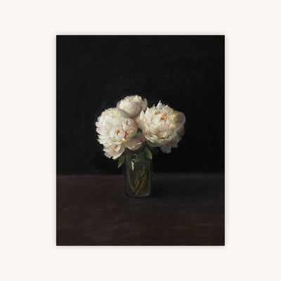 PEONIES, DARK BACKGROUND — Primary Image