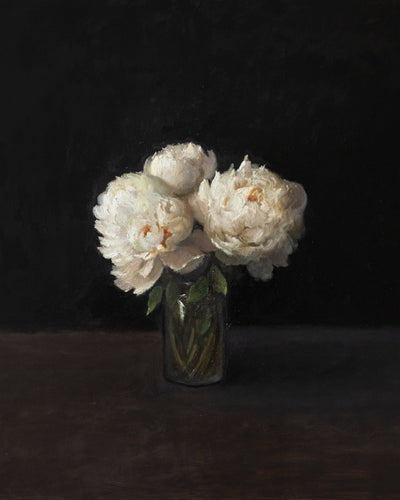 PEONIES, DARK BACKGROUND