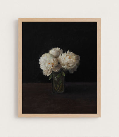 Peonies, Dark Background