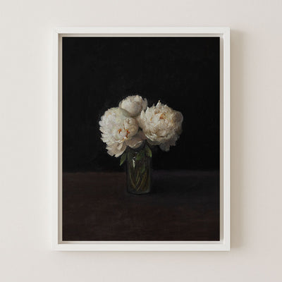 Peonies, Dark Background
