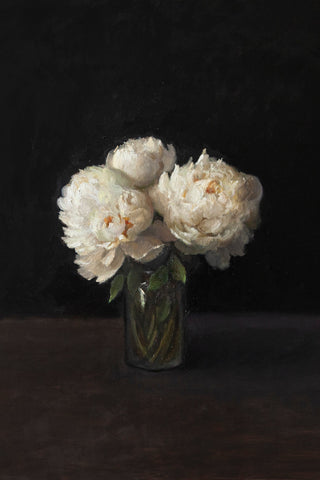 PEONIES, DARK BACKGROUND