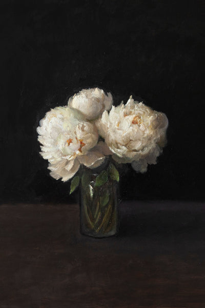 PEONIES, DARK BACKGROUND