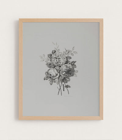 Peony Sketch II