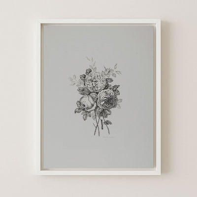 Peony Sketch II
