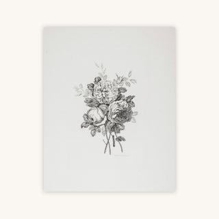 PEONY SKETCH II — Primary Image