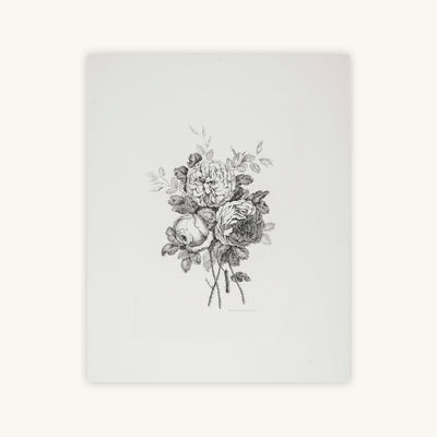 PEONY SKETCH II — Primary Image