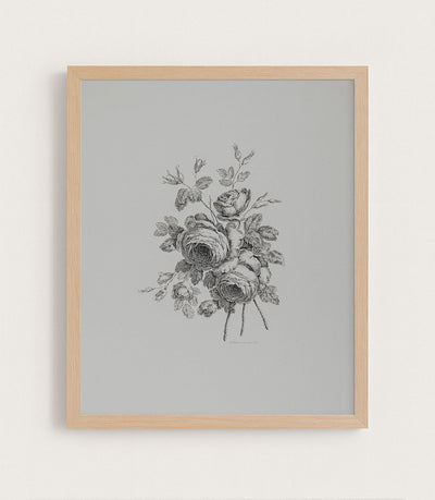 Peony Sketch I