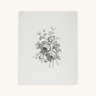 PEONY SKETCH I — Primary Image