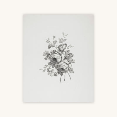 PEONY SKETCH I — Primary Image