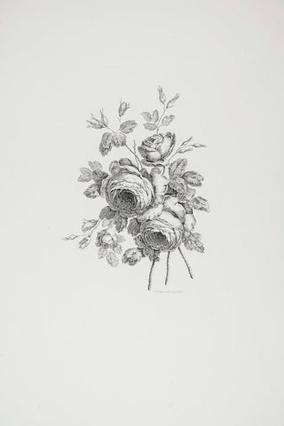 PEONY SKETCH I