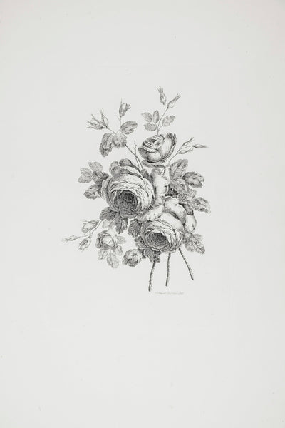 PEONY SKETCH I