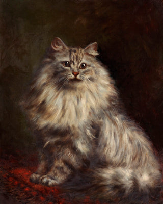 PERSIAN CAT