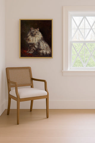 Persian Cat