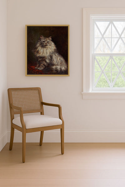 Persian Cat