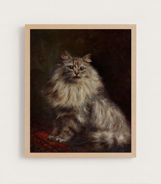 PERSIAN CAT