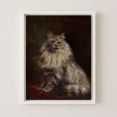 PERSIAN CAT