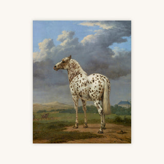 PIEBALD HORSE — Primary Image