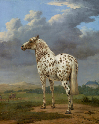 Piebald Horse