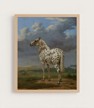 Piebald Horse