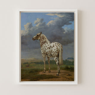 Piebald Horse