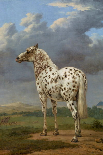 PIEBALD HORSE - Museum Quality Art
