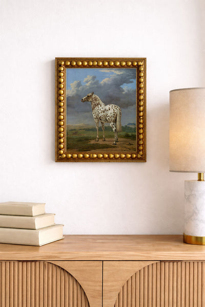 Piebald Horse