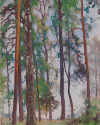 Pines