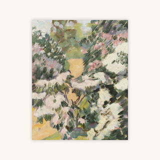 PINK AND WHITE BLOSSOM — Primary Image